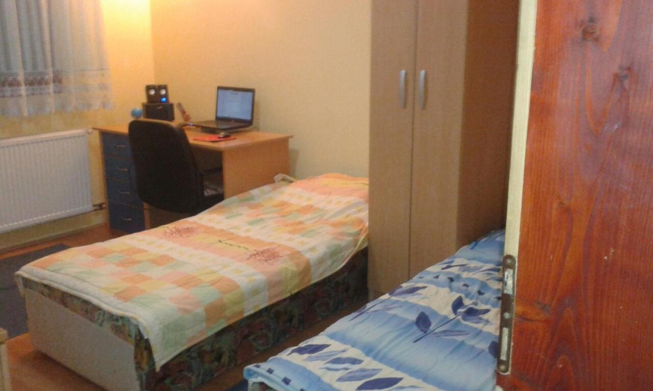Guesthouse Tadic Guča Kültér fotó