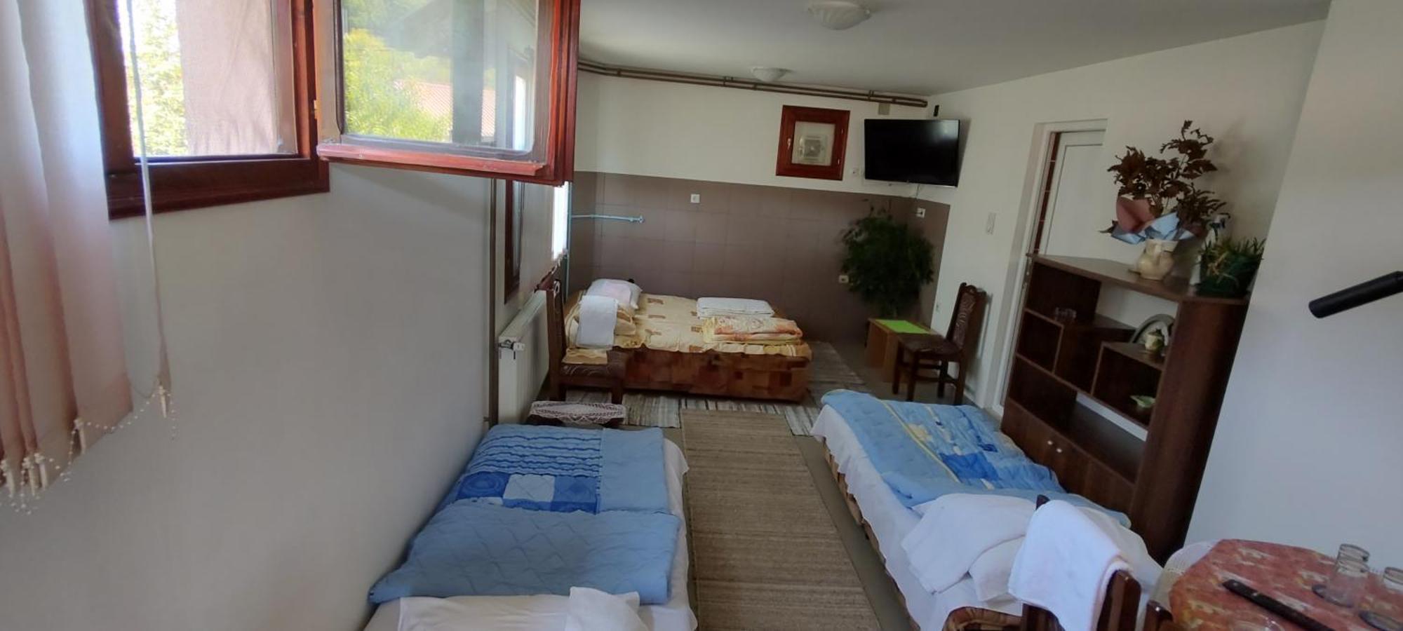 Guesthouse Tadic Guča Kültér fotó