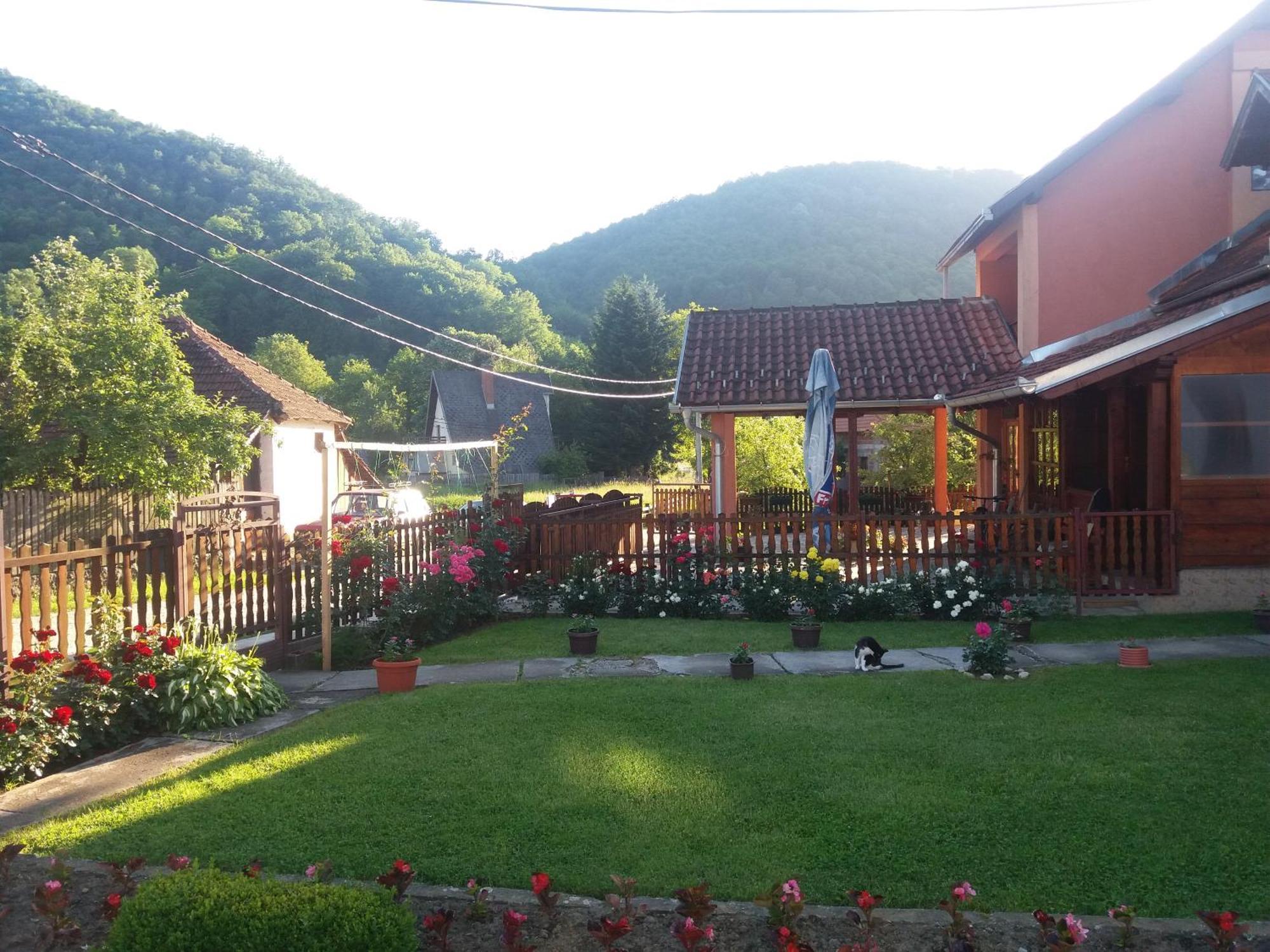 Guesthouse Tadic Guča Kültér fotó