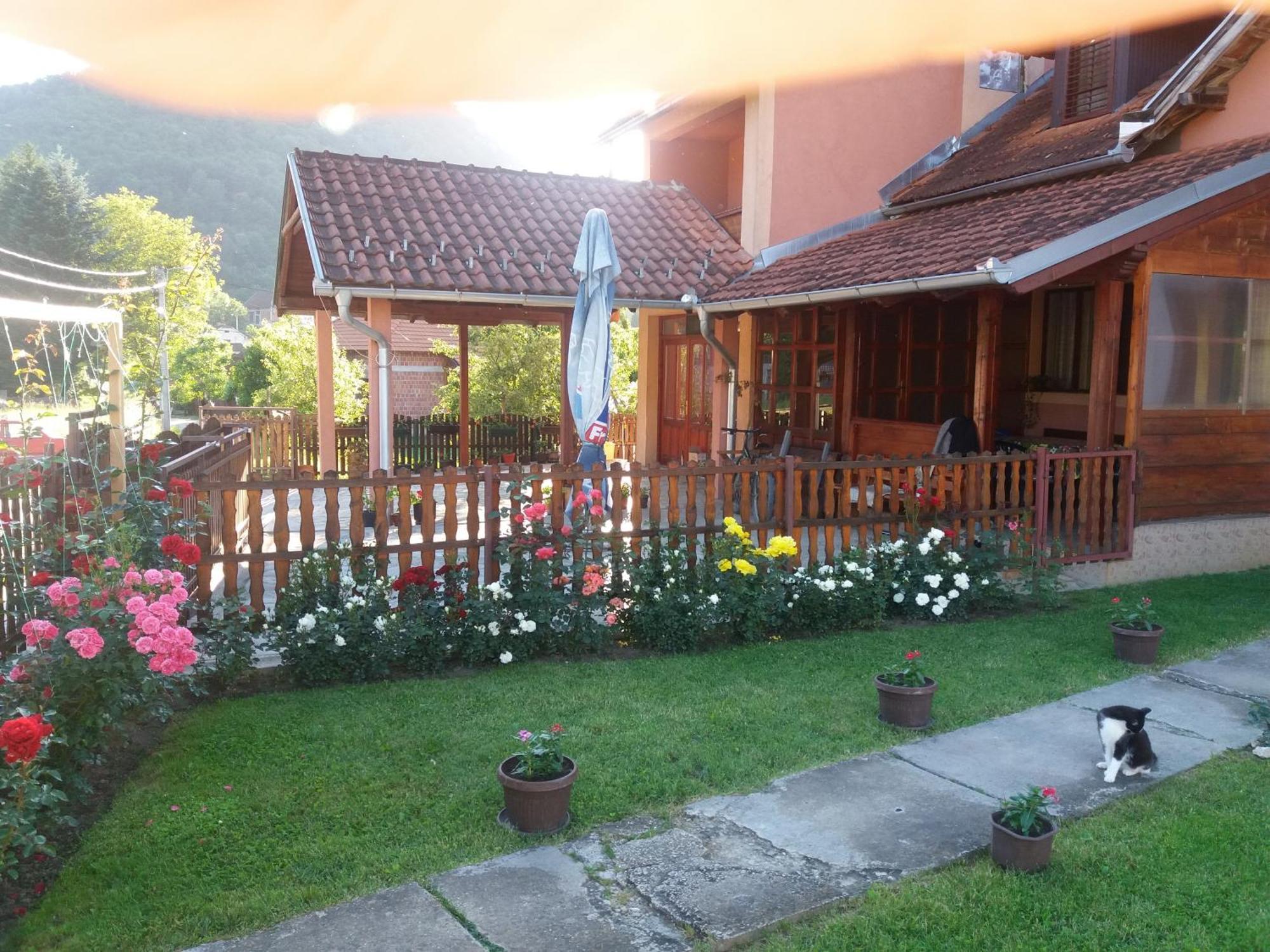 Guesthouse Tadic Guča Kültér fotó